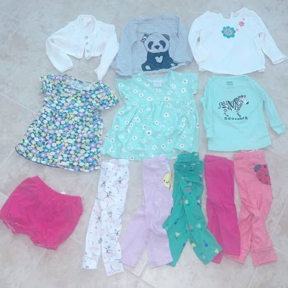 12-Piece Toddler Girls Clothing Bundle for Baby Girls Size 12-18 Months